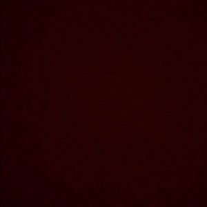 Meet your Posher, Reagan